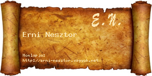 Erni Nesztor névjegykártya